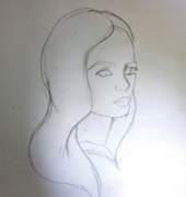 Profile Sketch