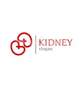 Kidney Medical logo Template