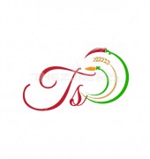 TS Letter Attractive Logo Template