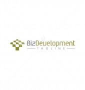 Development Elite Abstract Logo Template