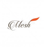 Flame Nesh Premade Creative Product Logo Symbol