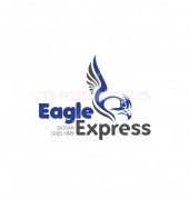 Wild Eagle Security Bird Logo Template