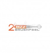 2 Shine Star Brush Medical Equipment Logo Template